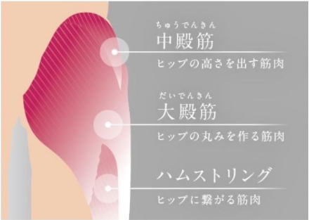 ヒップケアのイメージ